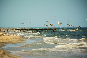 plaja-de-la-corbu-62